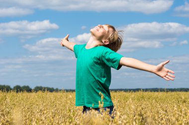 Little boy at field clipart