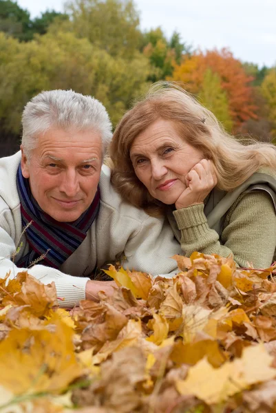 Vieux couple sur les feuilles — Photo