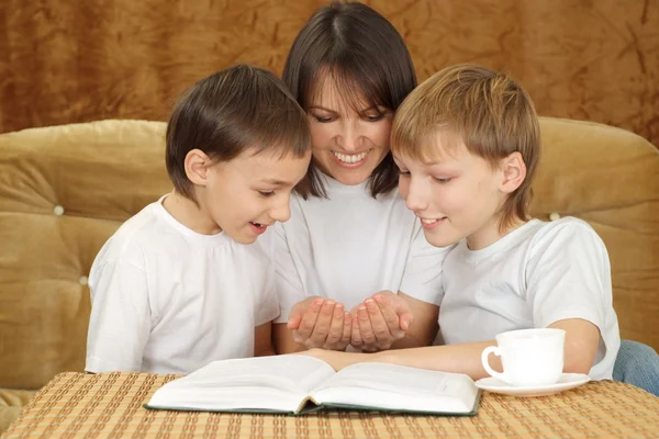 A beautiful Caucasian mum with two adorable brothers — Stock Photo, Image