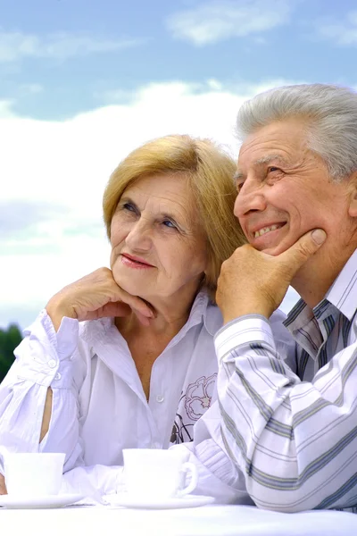 Feliz casal de idosos caucasianos — Fotografia de Stock