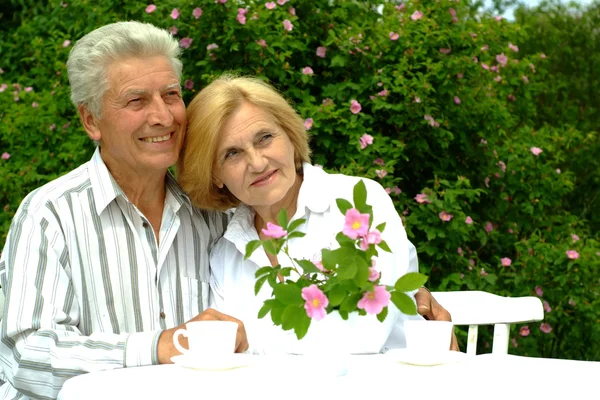 Bonito casal velho caucasiano — Fotografia de Stock