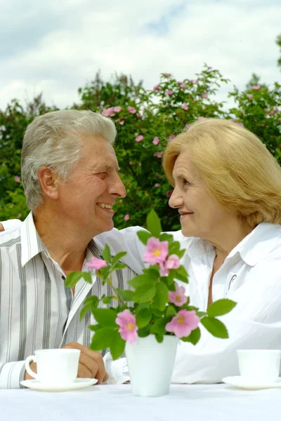 Beautiful Caucasian old couple — Stock Photo, Image