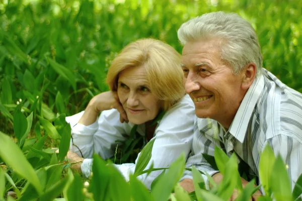 Красивая кавказская старшая пара — стоковое фото