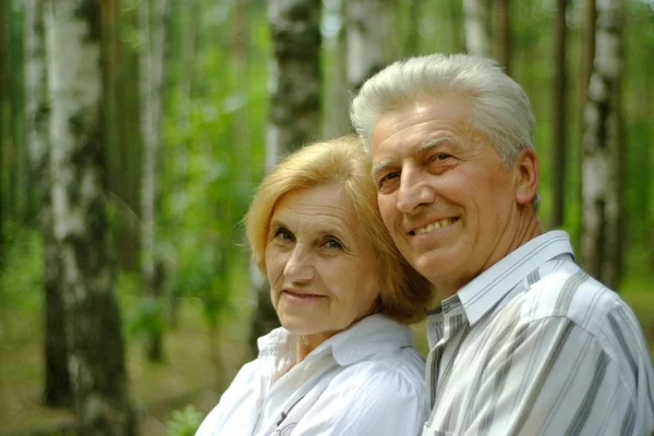 Hermosa pareja de ancianos agradable — Foto de Stock
