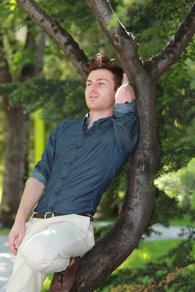 Портрет молодого человека, расслабленного на дереве — стоковое фото