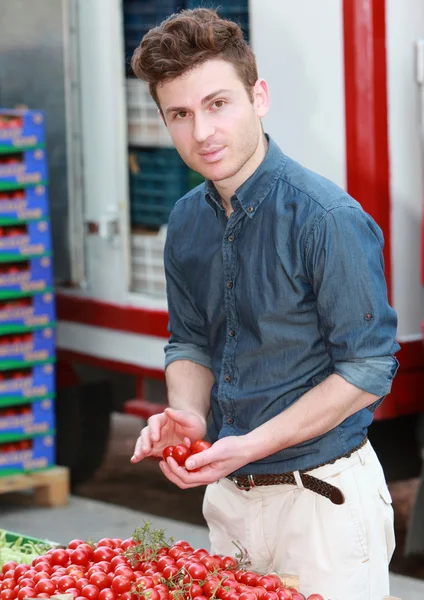 Młody mężczyzna atrakcyjny wybór pomidorów Zdjęcie Stockowe