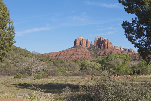 Cathedral Rock Sedona Arizona — Stock Photo, Image