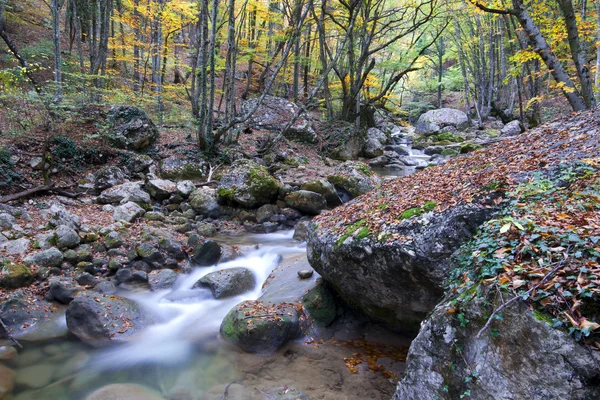 Outono e rio de montanha na floresta. Paisagem — Fotografia de Stock