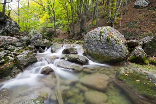 Berg floden med en stor sten och trä — Stockfoto
