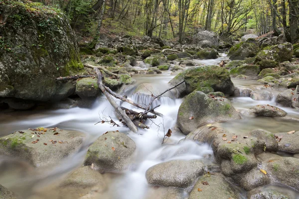 Górski potok w drewnie, jesień — Zdjęcie stockowe