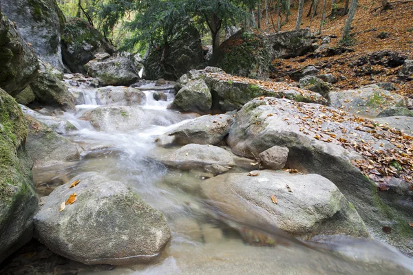 Berg rivier met stenen en bomen in de herfst — Stockfoto