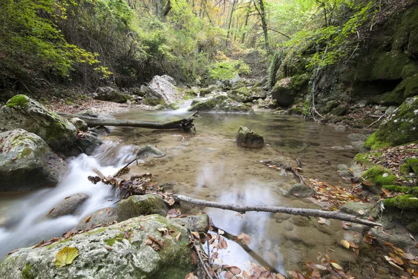 Bellissimo fiume selvaggio di montagna nel bosco — Foto Stock