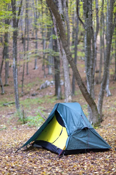 stock image Tent of the tourist in the wood