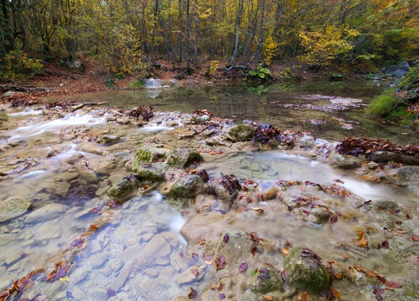 Mountain Stream i efteråret - Stock-foto