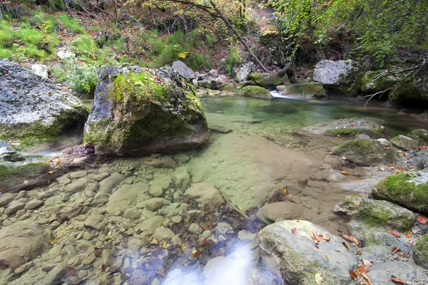 Magnifique ruisseau de montagne dans le bois — Photo
