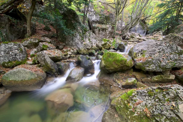 Transparante water in de berg hout. landschap — Stockfoto