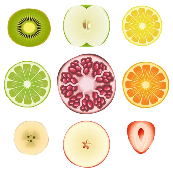 Free Vector  Colorful fruit slices