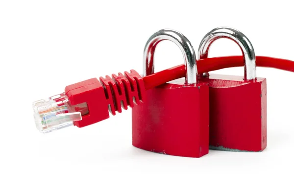 Lock en netwerk kabel — Stockfoto