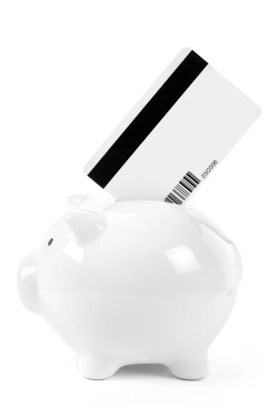 Piggy Bank and Credit Card — Stock Photo, Image