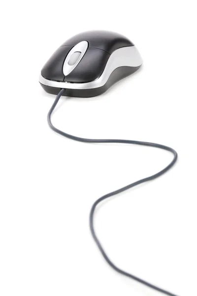 Ποντίκι υπολογιστή — Φωτογραφία Αρχείου