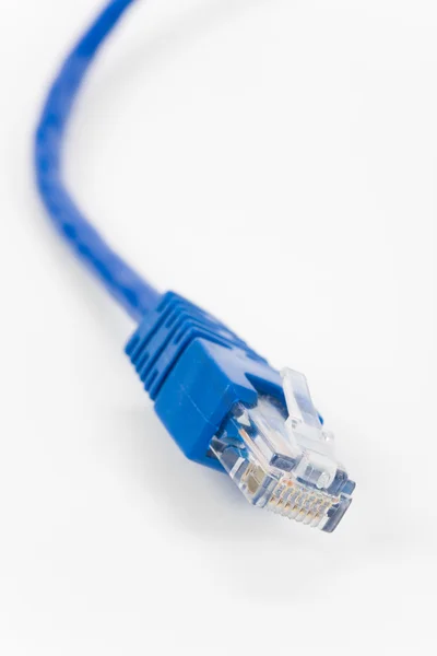 Синій комп'ютер кабель — стокове фото