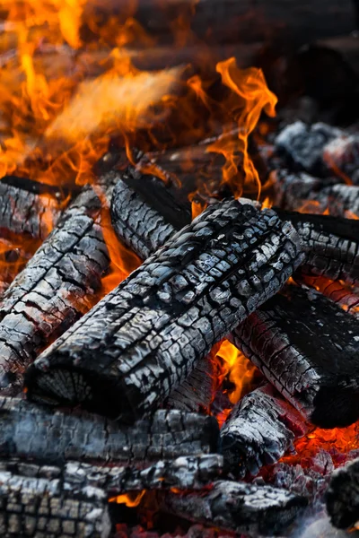 Jurnalul de ardere — Fotografie, imagine de stoc