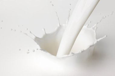 Pouring milk splash. clipart