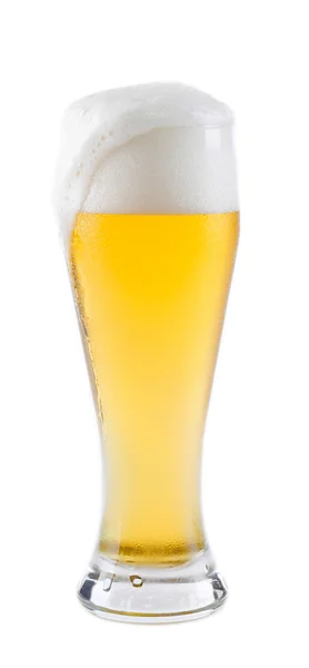 Øl i glass, diffus – stockfoto