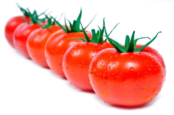 Fresh tomatoes in a row — Stock Photo, Image