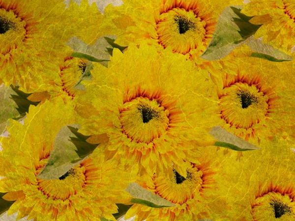 Textura fina com flores — Fotografia de Stock
