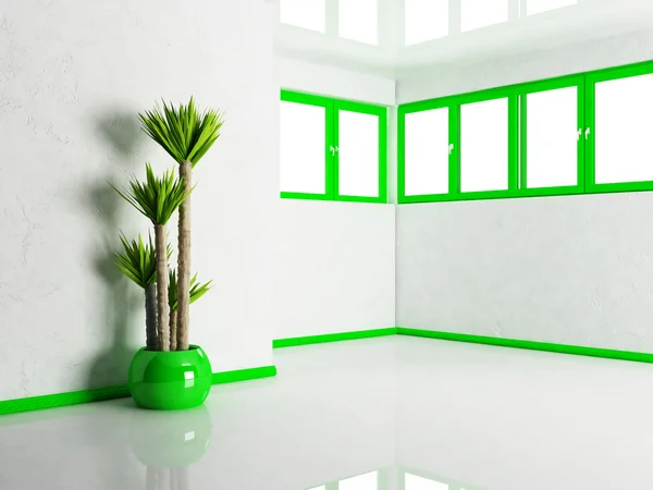 A plant in the room — Stock Photo, Image
