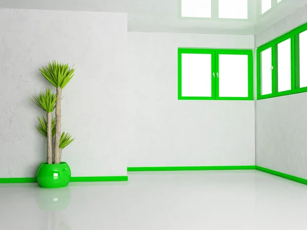 Eine Pflanze im Raum — Stockfoto