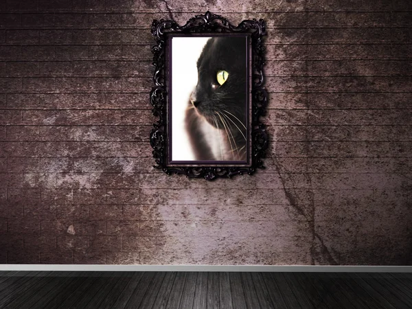 Imagem com um gato na parede escura — Fotografia de Stock