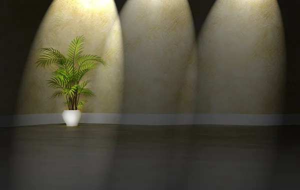 Zelených rostlin v prázdné místnosti — Stock fotografie