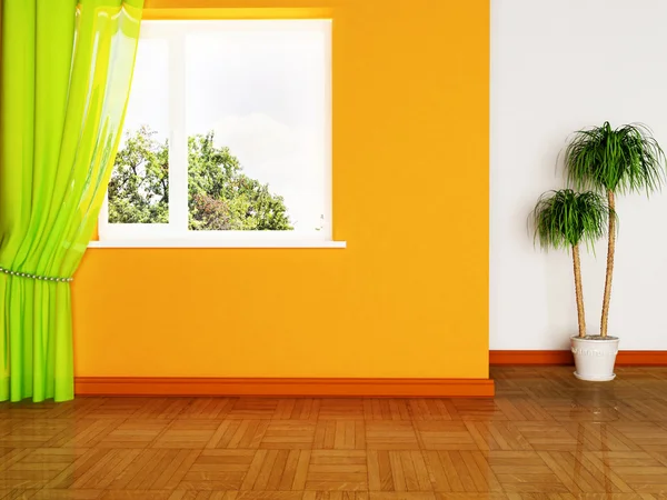 A plant and the window — Stock Photo, Image