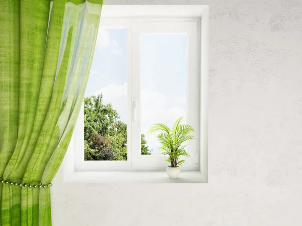 Растение на окне — стоковое фото