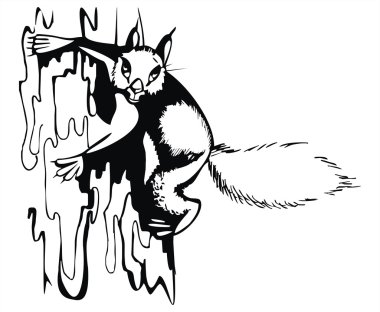 Artistic sketch - squirrel clipart