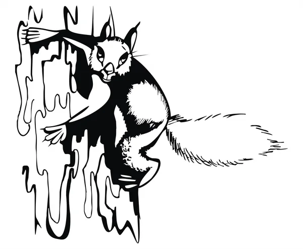 Καλλιτεχνική σκίτσο - σκίουρος — Διανυσματικό Αρχείο