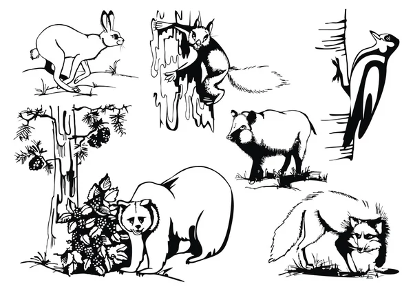 Set de vectores con animales salvajes — Archivo Imágenes Vectoriales