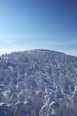 yumuşak in Rime ı, mt.zao, Japonya