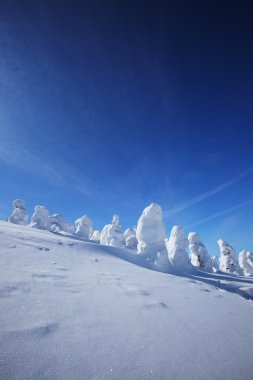 yumuşak in Rime ı, mt.zao, Japonya