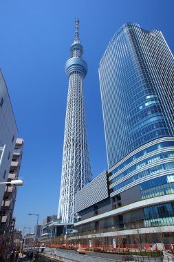 ağaç gökyüzü Tokyo, Japonya