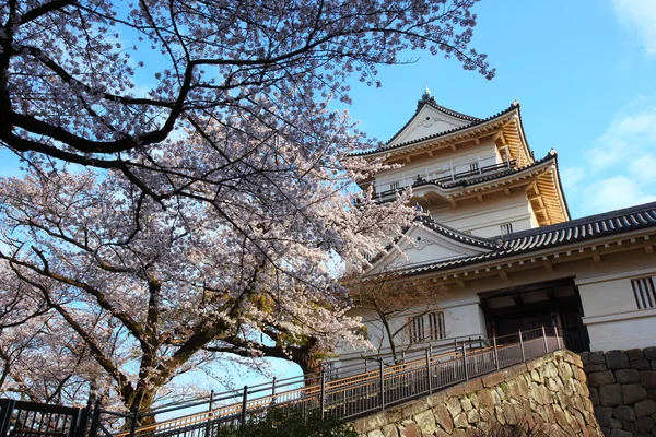Odawara vár és a cherry blossom — Stock Fotó