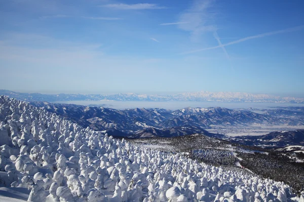 М'які паморозь та Mt. Iide в Японії — стокове фото