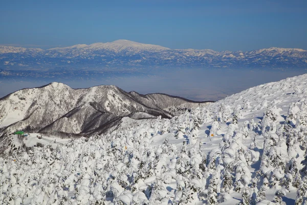 Soft rime and Mt. Gassan in Japan — Stock Photo, Image