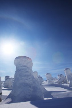 yumuşak in Rime ı, mt.zao, Japonya