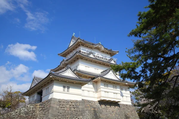 Castello di Odawara — Foto Stock