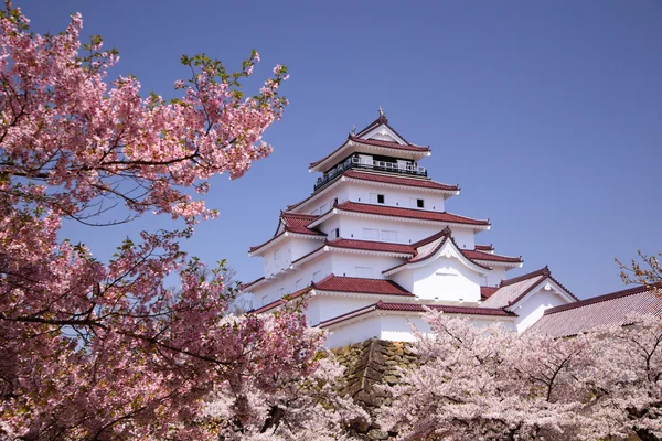 Aizuwakamatsu Burg und Kirschblüte — Stockfoto