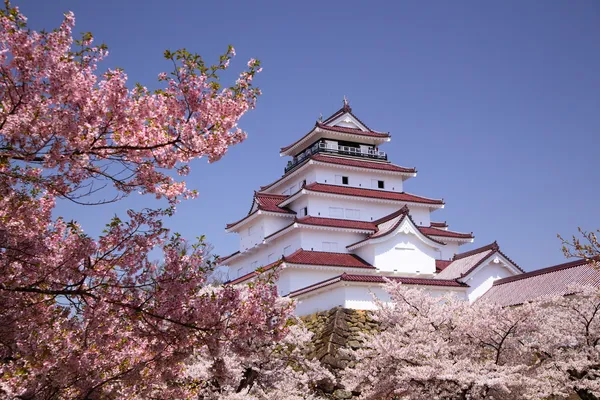 Aizuwakamatsu Castle and cherry blossom Stock Image