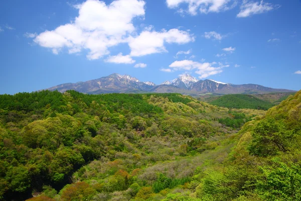 Mt. Yatsugatake von frischem Grün — Stockfoto